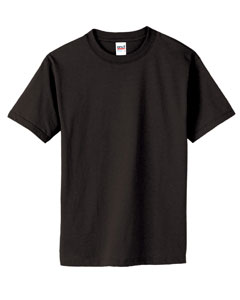 Anvil Organic T-Shirt