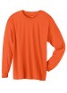 Hanes Long Sleeve Tagless T-Shirt