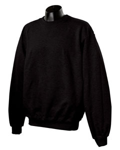 Champion Crewneck Sweatshirt